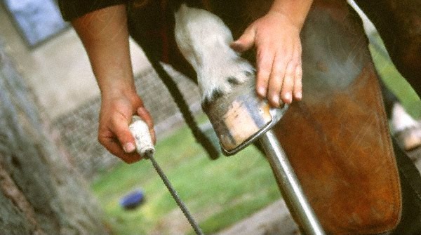 Bei der Arbeit